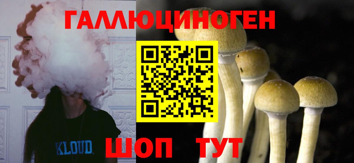 Псилоцибиновые грибы Psilocybine cubensis  Псилоцибиновые грибы мухоморы  Мурино  Вход с VPN 