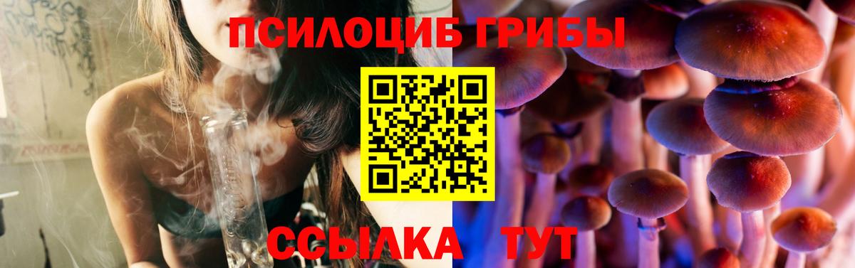 Галлюциногенные грибы мицелий Мурино